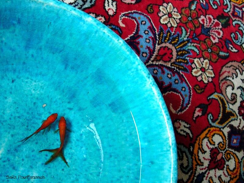 راهنمای جامع و کاربردی انتخاب طرح، رنگ و چیدمان فرش در خانه ایرانی